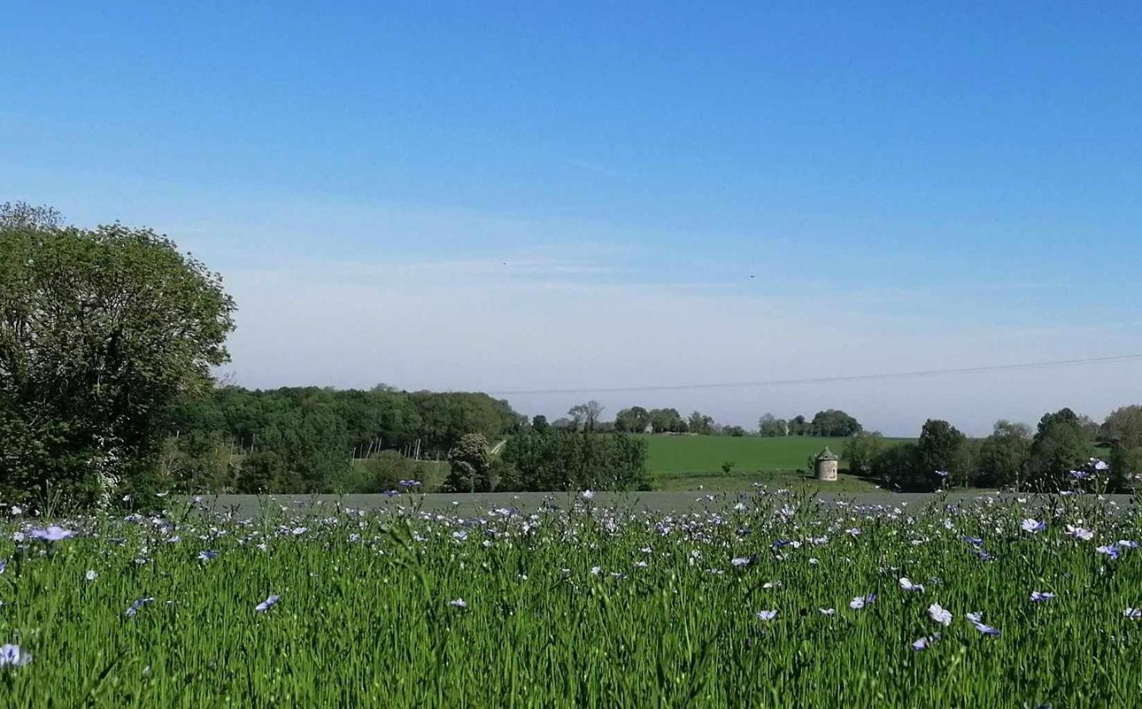 La Vieille Ferme Villa Donnay Exteriör bild
